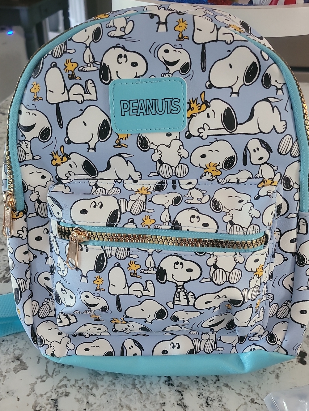 Peanuts Blue Snoopy & Woodstock Pattern Mini Backpack